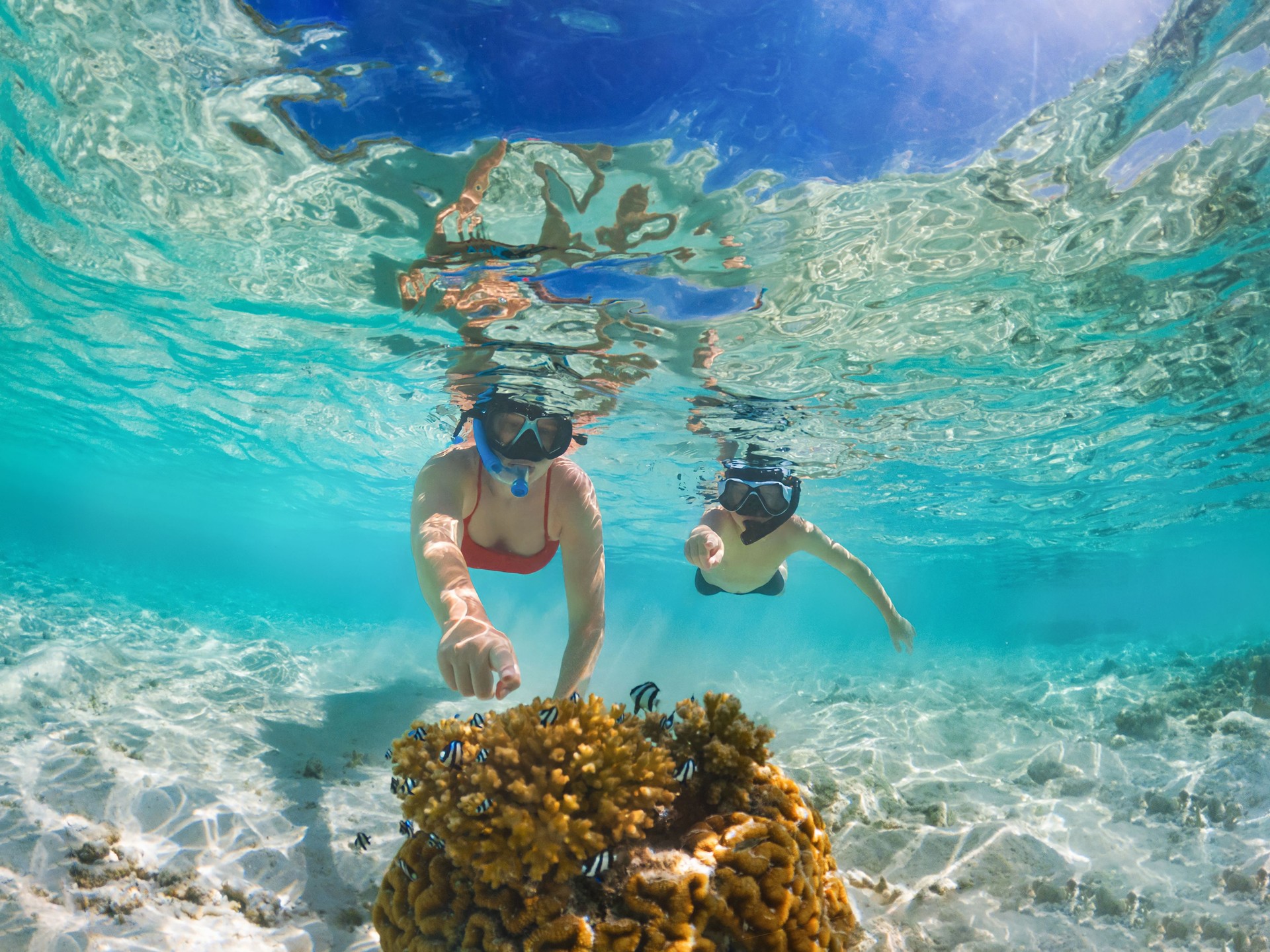 Mother and son discover small fish while snorkeling in Maldives.